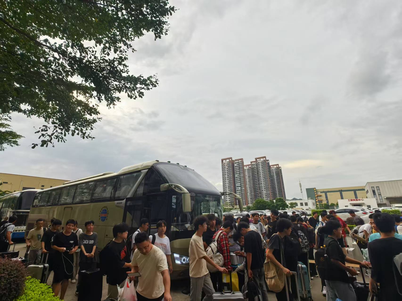 2024年高三学生开启顶岗实习之旅