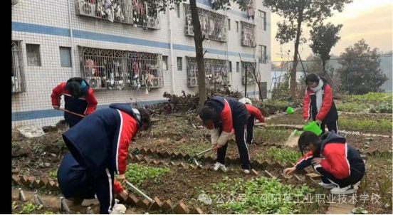 学生处工作内容
