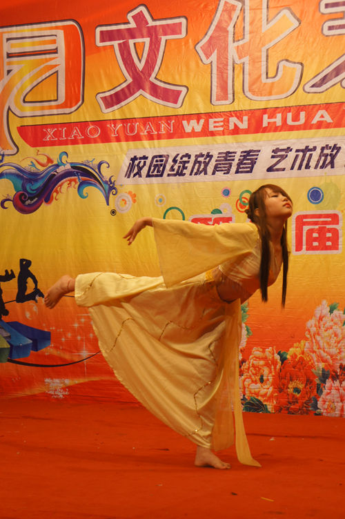 第8届艺术节汇演倩影