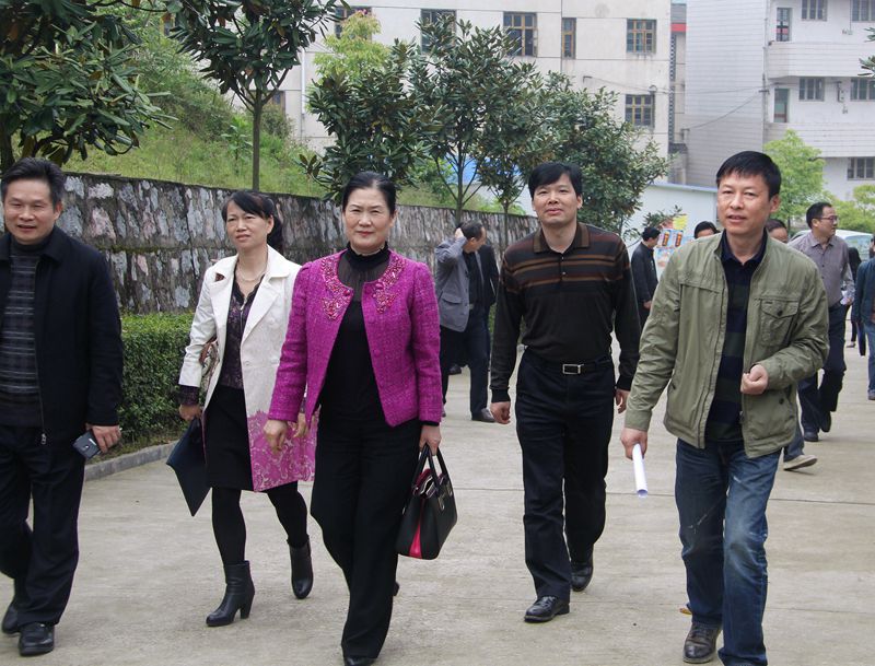 市人大来校进行《职业教育法》执法检查