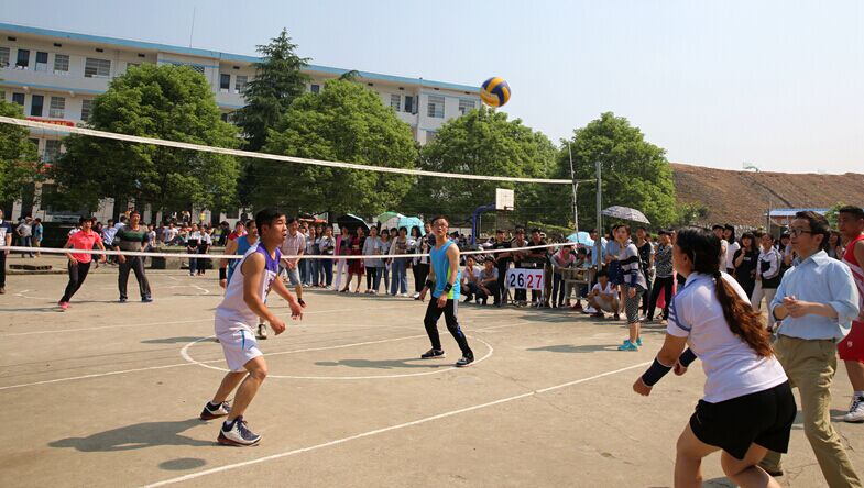 2016年上学期师生排球联赛获奖名单