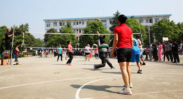 2016年上学期师生排球联赛获奖名单