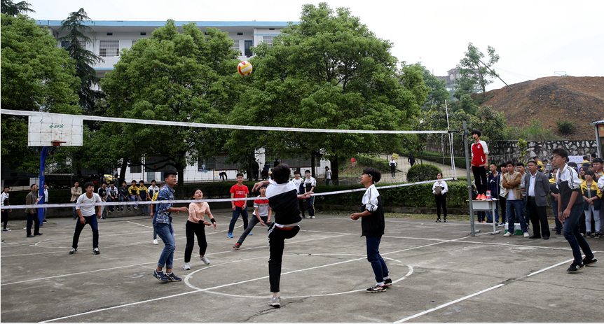 2016年上学期师生排球联赛获奖名单