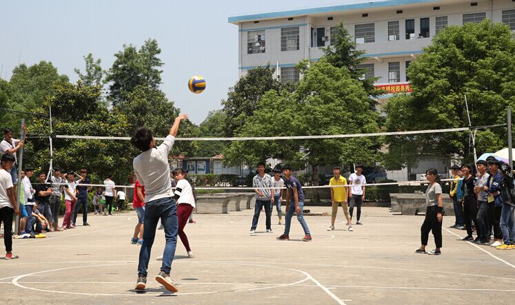 2016年上学期师生排球联赛获奖名单