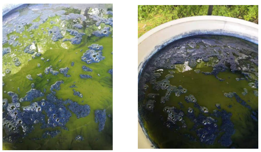 邵阳县工业职业技术学校“蓝印花布校企合作生产实训基地建设”典型案例