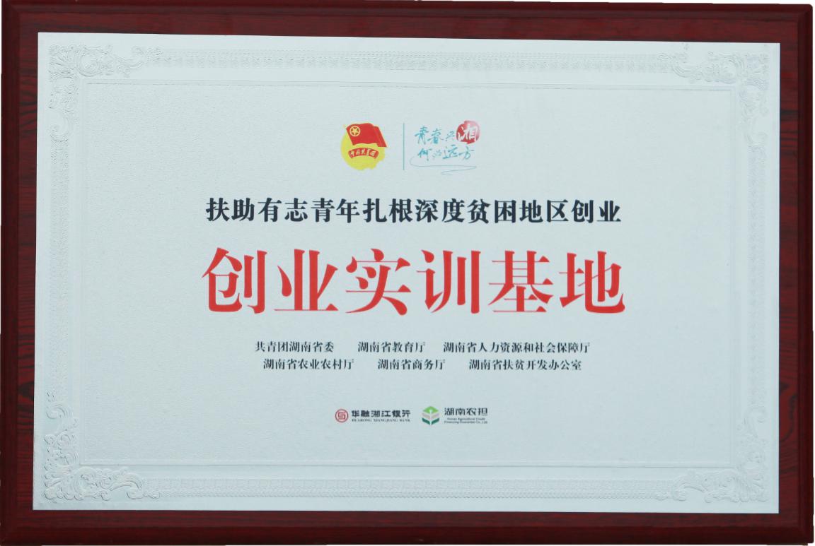 邵阳县工业职业技术学校《邵阳蓝印花布校企合作实训基地建设》支撑材料