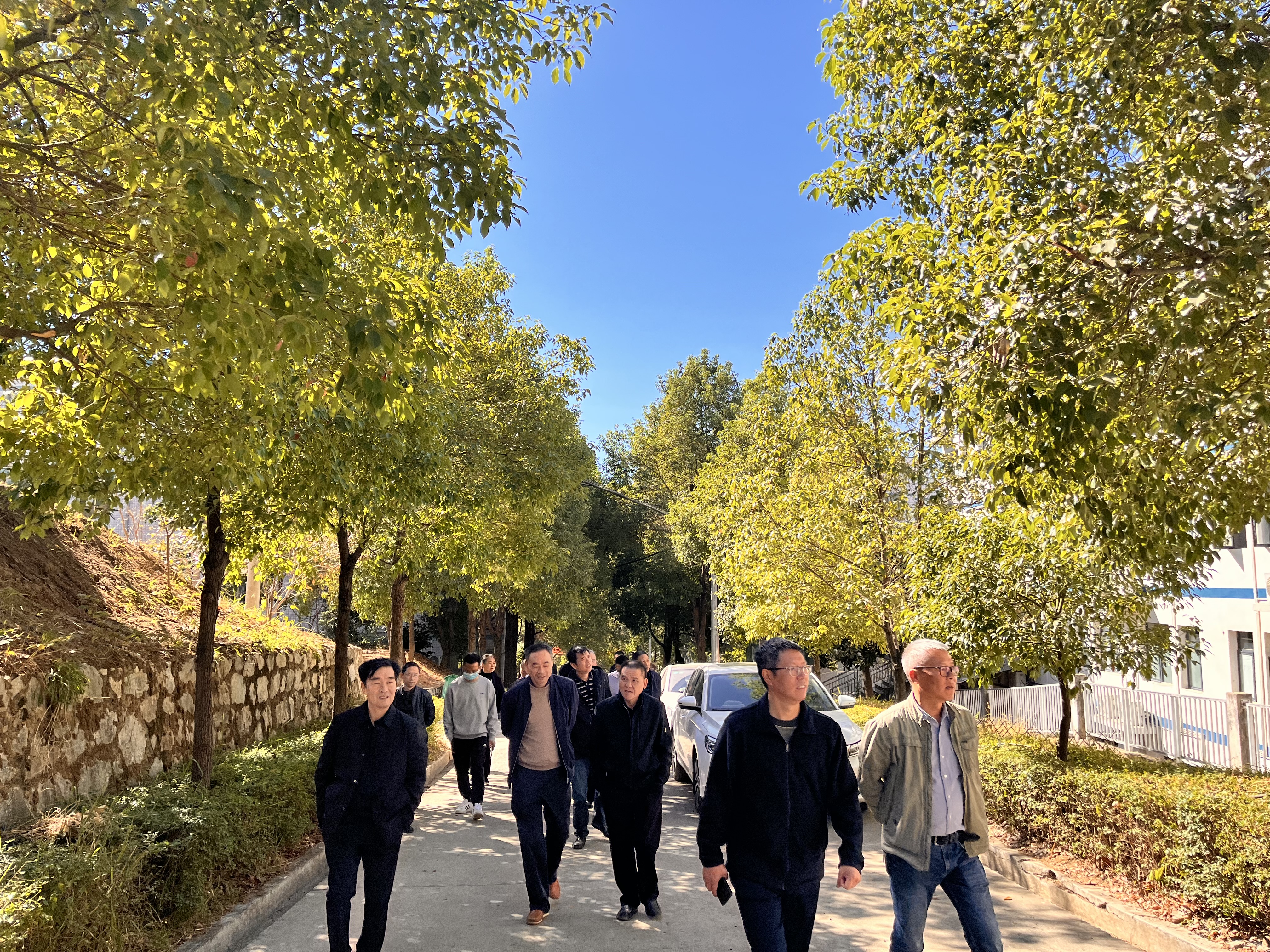 以督促优，以导赋能，做至朴至真教育