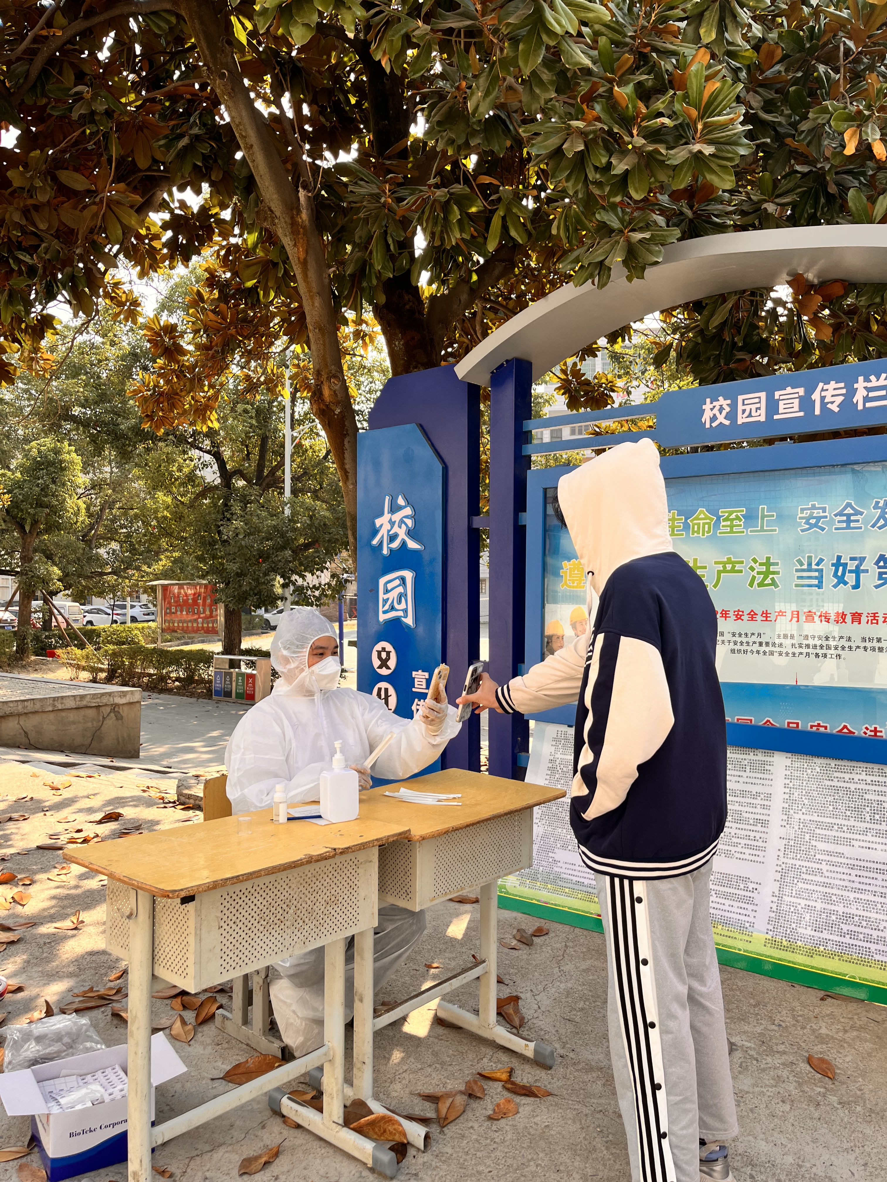 一身书卷气，一世赤子心