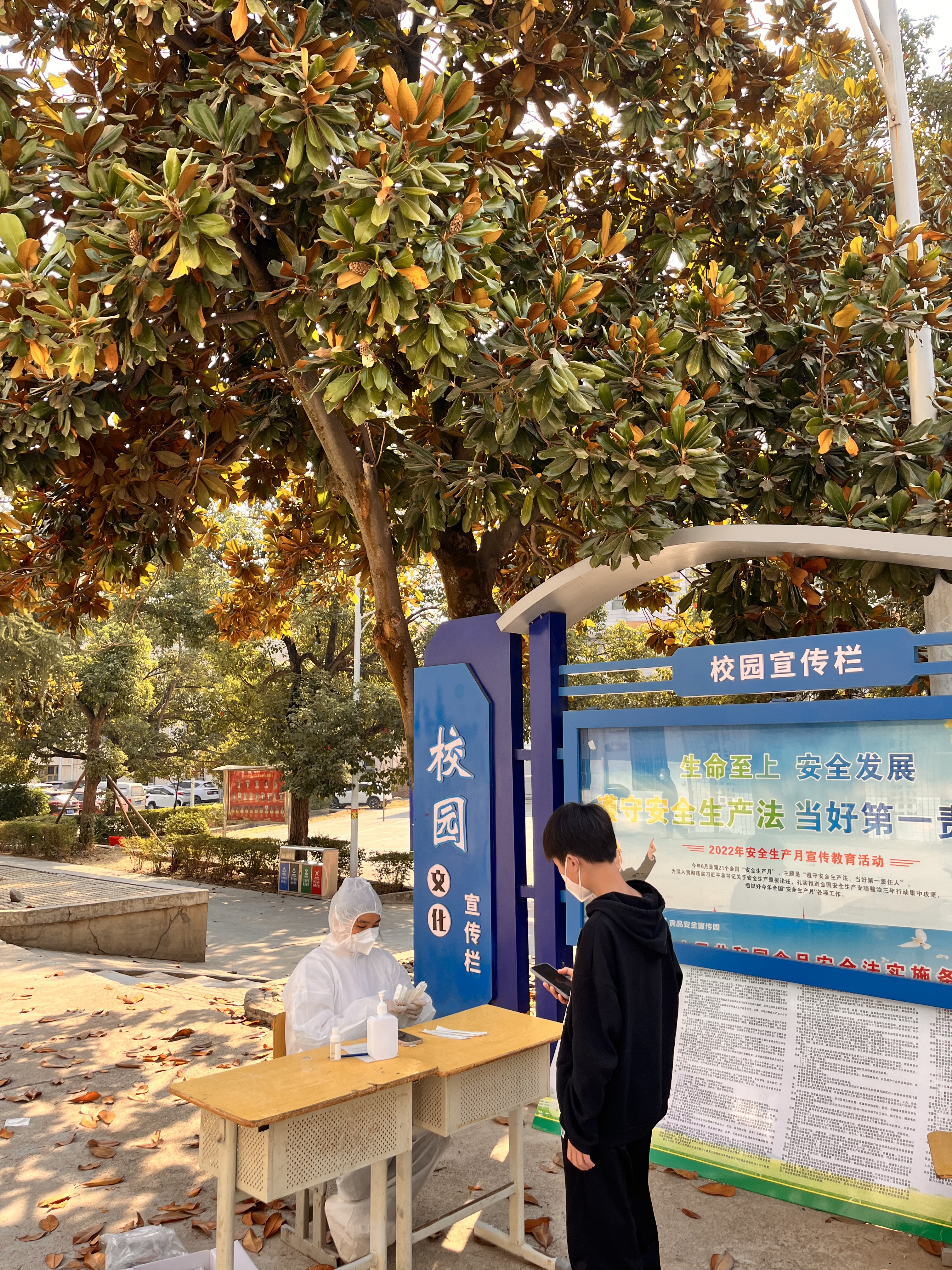 一身书卷气，一世赤子心