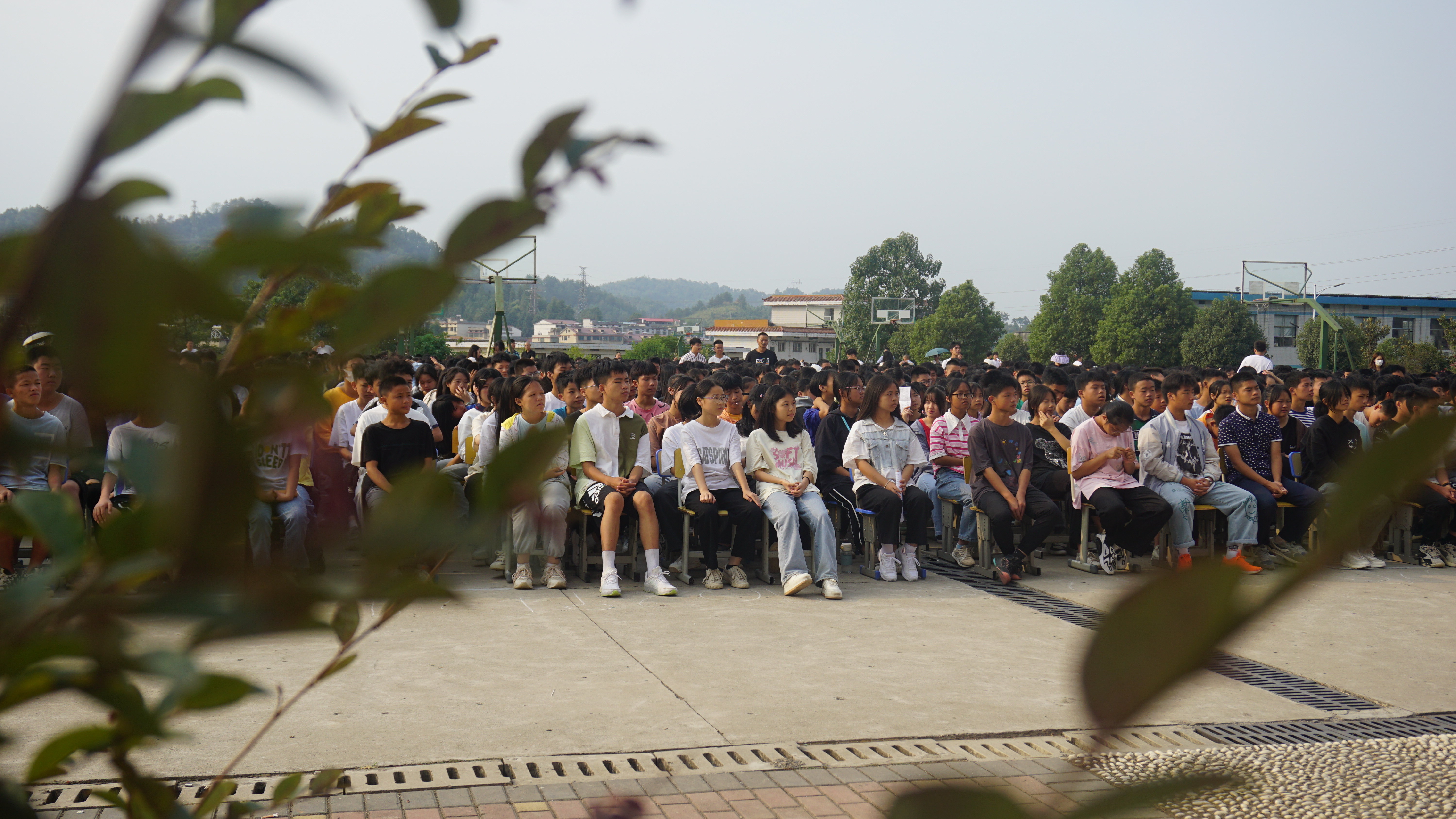 让法律之花在校园枝头绽放